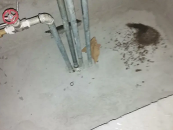 赤峰市卫生间测漏水价格明细